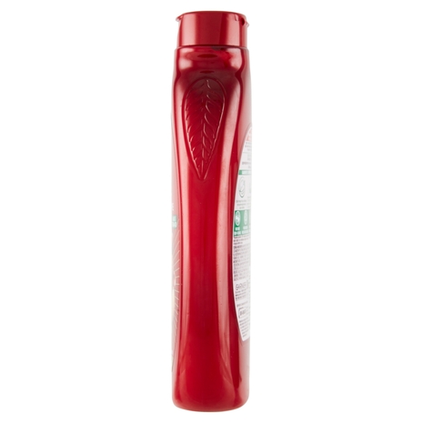 Garnier Ultra Dolce Shampoo all'Olio di Argan e Mirtillo Rosso per capelli colorati, 300 ml